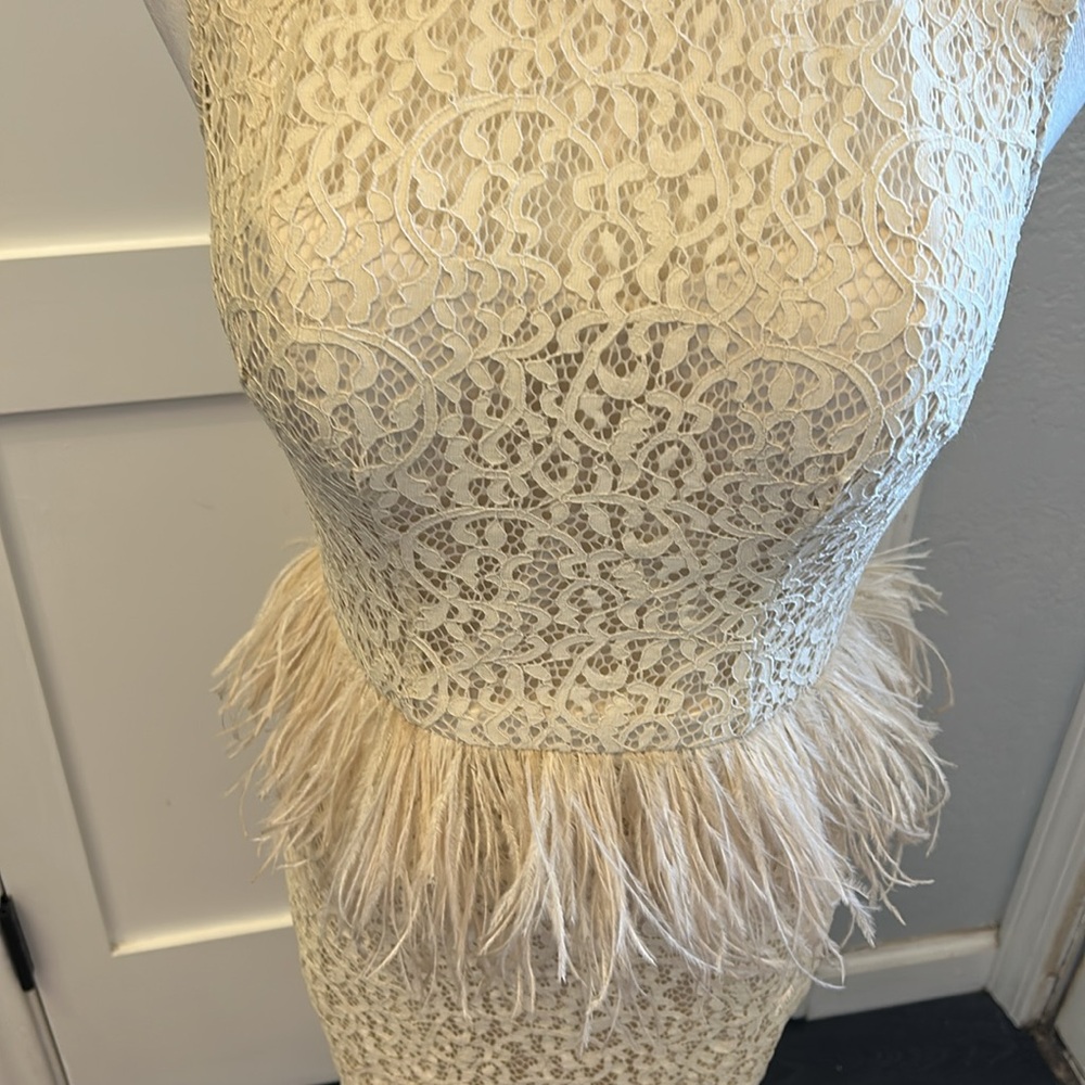 Feather and Lace Dress - Picture 2 of 14